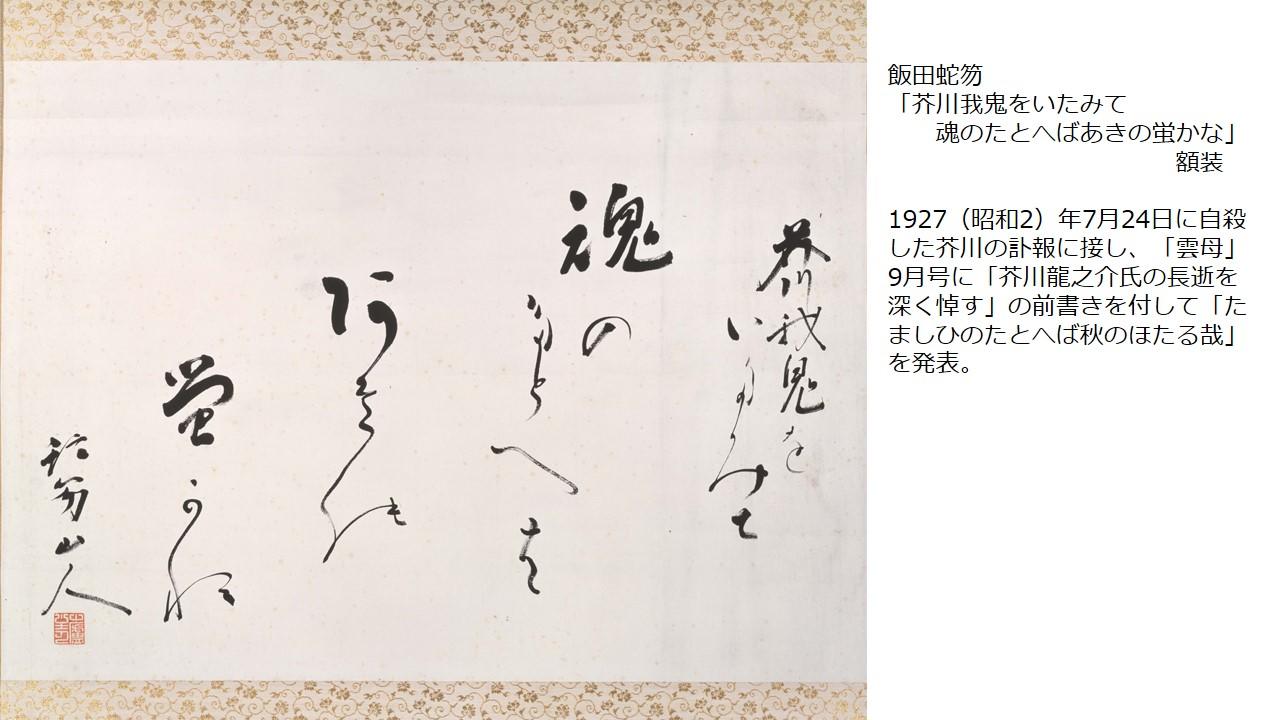 展覧会 山梨県立文学館 Yamanashi Prefectural Museum Of Literature